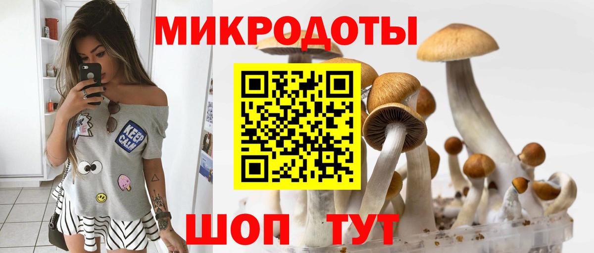 Псилоцибиновые грибы MAGIC MUSHROOMS Буйнакск