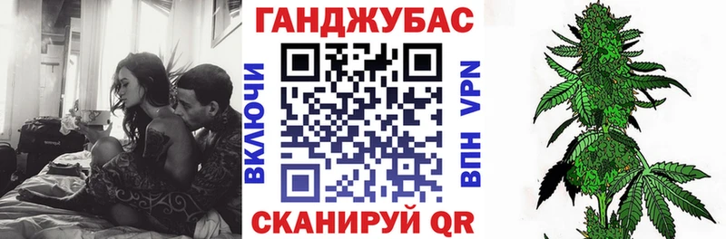 Шишки марихуана White Widow где найти наркотики Буйнакск